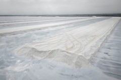 L'illusione del ghiaccio sulle saline di Margherita di Savoia: lo scatto di Domenico Belfiore