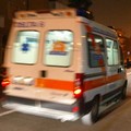 Punto da una malmignatta, contadino in ospedale