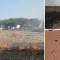 Incendio di sterpaglie accanto alla chiesa di San Pio, Don Michele: «Chiediamo decoro e responsabilità»