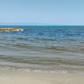 Balneabilità a Margherita, Giannino: «Il nostro ecosistema è sano, protetto e meravigliosamente vivo»