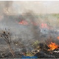 Margherita di Savoia: continua l'emergenza incendi