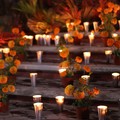 Commemorazione dei defunti, in fiori e crisantemi l'affetto per i propri cari