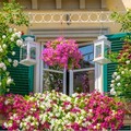 Un concorso premia i balconi fioriti più belli di Margherita di Savoia