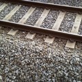 Traffico ferroviario sospeso tra le stazioni di Trinitapoli e Barletta