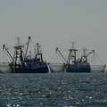 Tre milioni di euro dalla Regione per il sostegno al comparto pesca