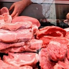 UE finanzia  "carne " in provetta, Coldiretti:  "Inaccettabile per economia e salute "