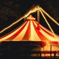 Leidaa Margherita di Savoia: «Basta al circo con animali»