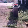 Bonificata dai rifiuti abbandonati l'area di Porto Canale