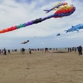 Festival internazionale degli aquiloni, in centinaia sulla spiaggia per l’ottava edizione