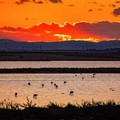 Le Saline di Margherita di Savoia protagoniste nello Zimbabwe
