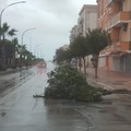 Allerta meteo sul territorio ofantino