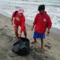 Bagnini puliscono le loro postazioni in spiaggia dalla plastica