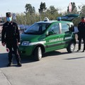 Footing sulla battigia e a caccia di asparagi, 11 sanzioni effettuate dai Carabinieri Tutela Biodiversità