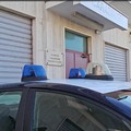 Rogo auto a Margherita, fermato un pregiudicato per incendio doloso