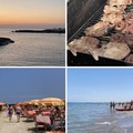 Tra grigliate sotto le stelle, mare e tradizioni: così si festeggia il Ferragosto a Margherita