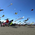 In migliaia a Margherita di Savoia per il Festival internazionale dell’Aquilone