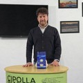 Cipolla Bianca di Margherita Igp: al via la nuova raccolta