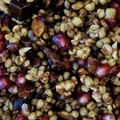“Un chicco di grano, mille storie da raccontare”: a Margherita torna la Sagra del Grano Cotto