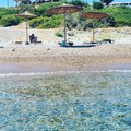 Spiagge pugliesi, la bagarre scatenata da Mario Tozzi