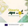 Monitoraggio della mosca dell'olivo, a cura di Olearia Aipo Puglia