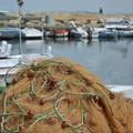 Giornata del mare, Coldiretti: «Sos pesce pugliese. Persi 18mila posti di lavoro»