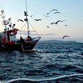 La Puglia a sostegno del comparto pesca: le nuove misure