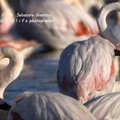 In arrivo “Urban Nature”: la natura si fa spazio a Margherita di Savoia
