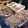 Mezzo quintale di pesce sequestrato dai militari della Capitaneria di Porto