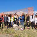 “RiciCLammina”: a Margherita volontari in azione per ripulire il territorio