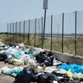 Strada provinciale per Zapponeta e verso Margherita con le piazzole di sosta invase dai rifiuti