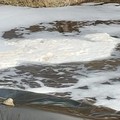 Coltre di schiuma nel fiume Ofanto, al via il sopralluogo della Polizia provinciale