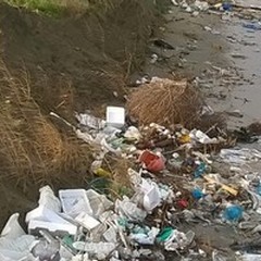 A Margherita di Savoia 15 fototrappole per vigilare sull'abbandono dei rifiuti