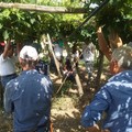 Proclamato lo sciopero per gli operai del settore agricolo e florovivaistico