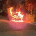 In fiamme l'auto della moglie del presidente Lodispoto