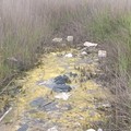Canale Salina, liquido stagnante e rifiuti tossici