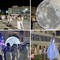 “White & Art”: grande successo a Margherita di Savoia per la Notte Bianca