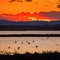 Le Saline di Margherita di Savoia protagoniste nello Zimbabwe
