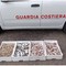 Sequestrati 170 kg di vongole pescati vicino al litorale di Margherita di Savoia