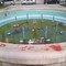 Fontana di piazza Marconi fra rifiuti e acqua stagnante