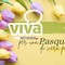 Per una Pasqua di pace, ovunque: auguri dal Viva Network