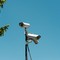 BatCam, Lodispoto: «L'estate si apre all'insegna dell'alleanza tra tecnologia, imprese e legalità»