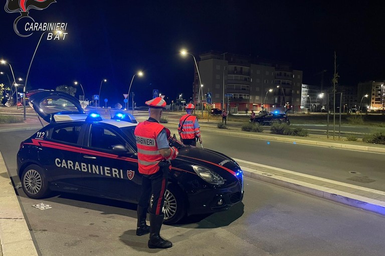 Carabinieri controlli territorio