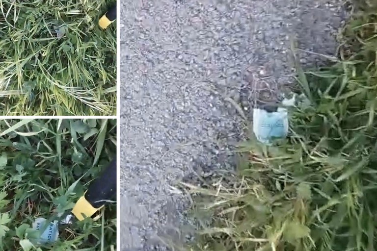 Allarme veleno: trovate bustine letali per animali in zona Città Giardino a Margherita di Savoia