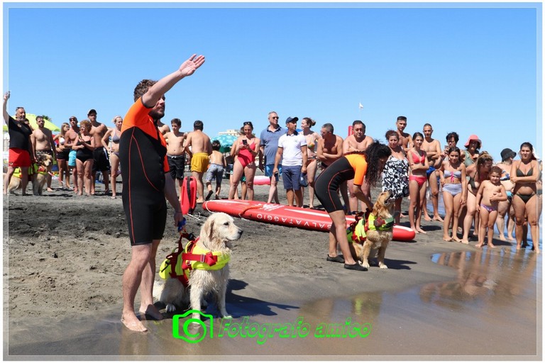 Attività dimostrativa a cura della Scuola Italiana Cani Salvataggio (SICS) e della Lifeguard. <span>Foto Fotografoamico</span>