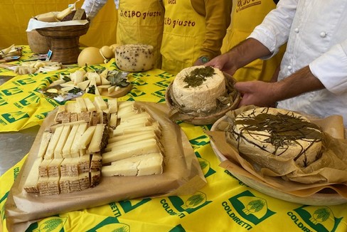 Formaggi