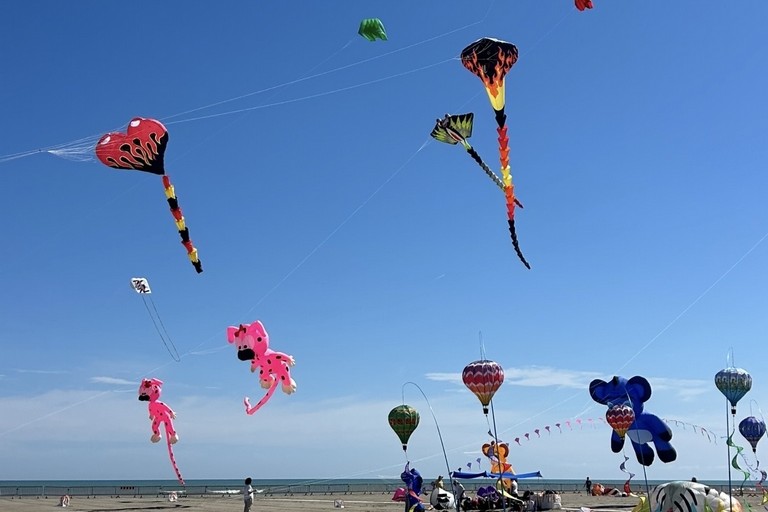 Aquiloni e sguardo al cielo: prende il via il Festival dell’Aquilone a Margherita di Savoia