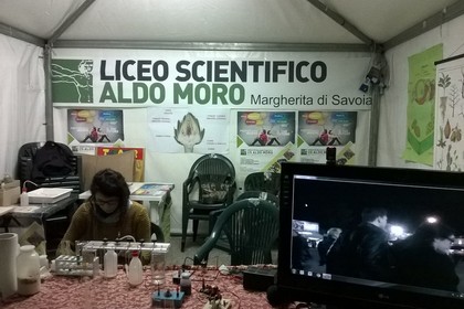 Istituto Alberghiero, Liceo Scientifico