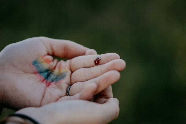 mani