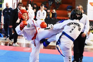 taekwondo itf trani