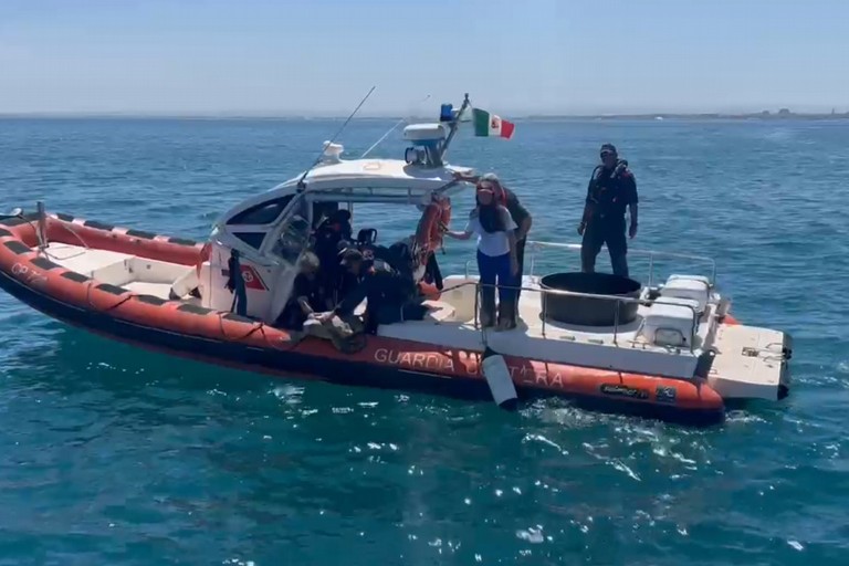 Liberazione Tartaruga